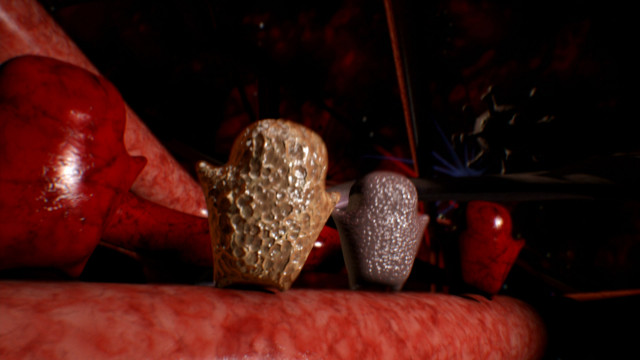 Monsters Inside Me