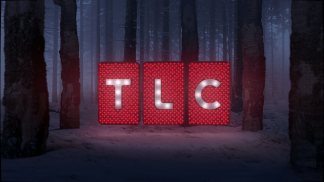 TLC Christmas Promo 2013
