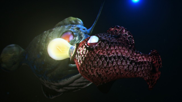 Big Trouble in Little Ocean