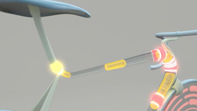 Universal Everything - Screens of the Future